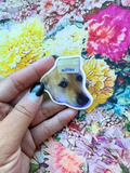 butter dog